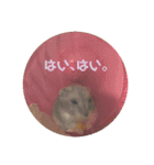ふぇれはむず3（個別スタンプ：12）