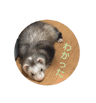 ふぇれはむず3（個別スタンプ：14）