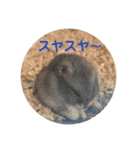 ふぇれはむず3（個別スタンプ：17）