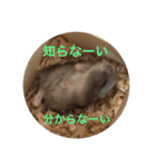 ふぇれはむず3（個別スタンプ：19）