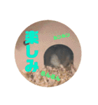 ふぇれはむず3（個別スタンプ：21）