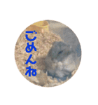 ふぇれはむず3（個別スタンプ：23）