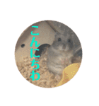 ふぇれはむず3（個別スタンプ：31）
