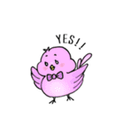 イロトリ鳥の日々。（個別スタンプ：1）