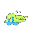イロトリ鳥の日々。（個別スタンプ：11）