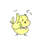 イロトリ鳥の日々。（個別スタンプ：13）