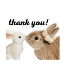 モフモフうさぎのミュルクです（個別スタンプ：2）