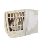モフモフうさぎのミュルクです（個別スタンプ：6）