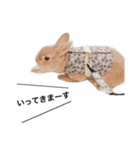 モフモフうさぎのミュルクです（個別スタンプ：12）