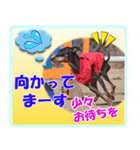 ミニチュアピンシャーの日常会話 Part5 春（個別スタンプ：18）