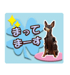 ミニチュアピンシャーの日常会話 Part5 春（個別スタンプ：29）