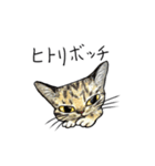 かわいいネガティヴ猫たち（個別スタンプ：4）