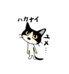 かわいいネガティヴ猫たち（個別スタンプ：6）