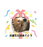 れおちゃんです（個別スタンプ：5）