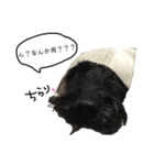 JACKのスタンプ（個別スタンプ：11）