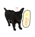 JACKのスタンプ（個別スタンプ：14）