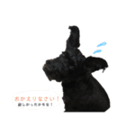 JACKのスタンプ（個別スタンプ：18）