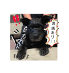 JACKのスタンプ（個別スタンプ：19）