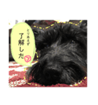 JACKのスタンプ（個別スタンプ：20）