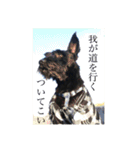 JACKのスタンプ（個別スタンプ：21）