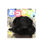 JACKのスタンプ（個別スタンプ：22）