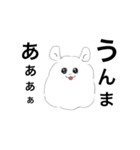 チンチラエブリデイ（個別スタンプ：1）