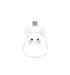 チンチラエブリデイ（個別スタンプ：5）