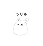 チンチラエブリデイ（個別スタンプ：10）