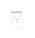 チンチラエブリデイ（個別スタンプ：15）