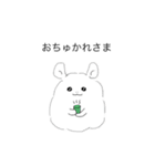 チンチラエブリデイ（個別スタンプ：31）