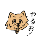 頬骨犬（個別スタンプ：1）