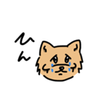 頬骨犬（個別スタンプ：3）