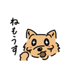 頬骨犬（個別スタンプ：4）