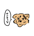 頬骨犬（個別スタンプ：6）