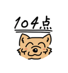 頬骨犬（個別スタンプ：7）