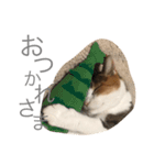 まろと愉快な仲間たち（個別スタンプ：10）