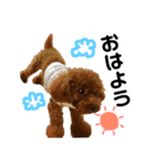 愛犬めいちゃんの日常（個別スタンプ：1）