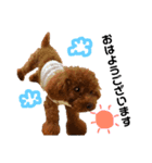 愛犬めいちゃんの日常（個別スタンプ：2）