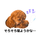 愛犬めいちゃんの日常（個別スタンプ：8）
