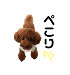 愛犬めいちゃんの日常（個別スタンプ：12）