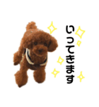 愛犬めいちゃんの日常（個別スタンプ：20）