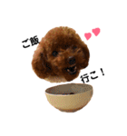 愛犬めいちゃんの日常（個別スタンプ：22）