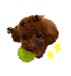 愛犬めいちゃんの日常（個別スタンプ：23）