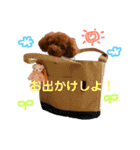 愛犬めいちゃんの日常（個別スタンプ：24）
