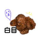 愛犬めいちゃんの日常（個別スタンプ：33）