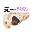 愛犬めいちゃんの日常（個別スタンプ：35）