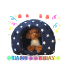 愛犬めいちゃんの日常（個別スタンプ：38）
