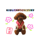 愛犬めいちゃんの日常（個別スタンプ：39）