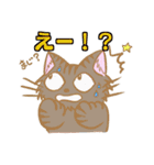 もふにゃんスタンプ もふ猫 もふもふ（個別スタンプ：15）