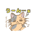 もふにゃんスタンプ もふ猫 もふもふ（個別スタンプ：26）